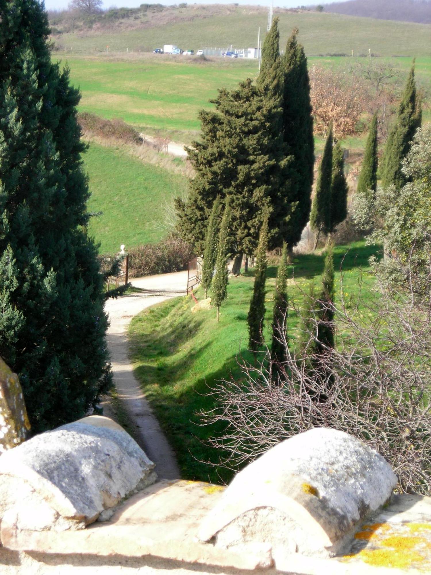 Agriturismo Il Cocco Montalcino Exterior photo